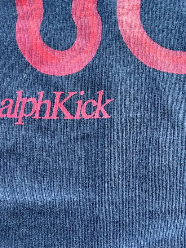 Close-up of the RalphKick print on the Climbing Team Tee